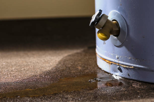 Best 24/7 water damage repair  in West Wyomissing, PA