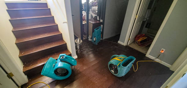 Best Carpet water damage restoration  in West Wyomissing, PA