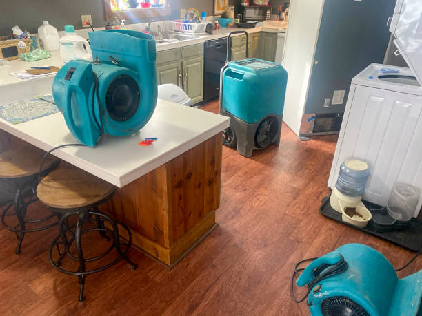  West Wyomissing, PA Water damage restoration Pros