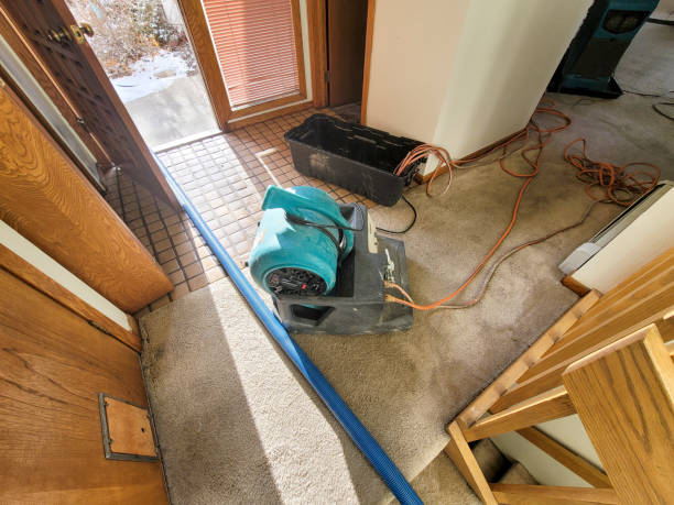 Professional Water damage restoration in West Wyomissing, PA