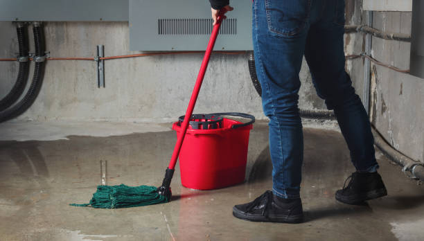 Best Flood restoration services  in West Wyomissing, PA