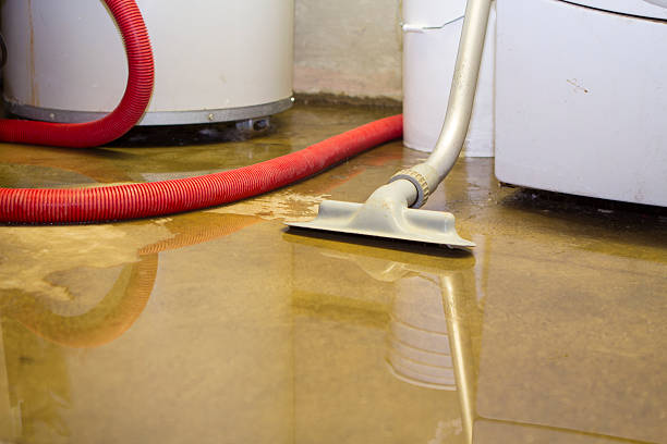 West Wyomissing, PA Water damage restoration Company