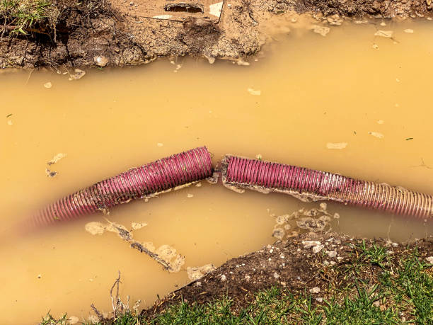 Best Local water damage restoration  in West Wyomissing, PA